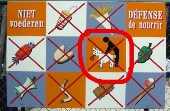 Eszedbe ne jusson . . . 