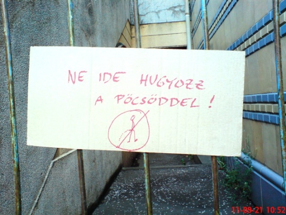 Pécs - Sturdast discó mellett 