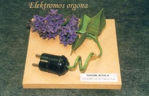 Elektromos orgona