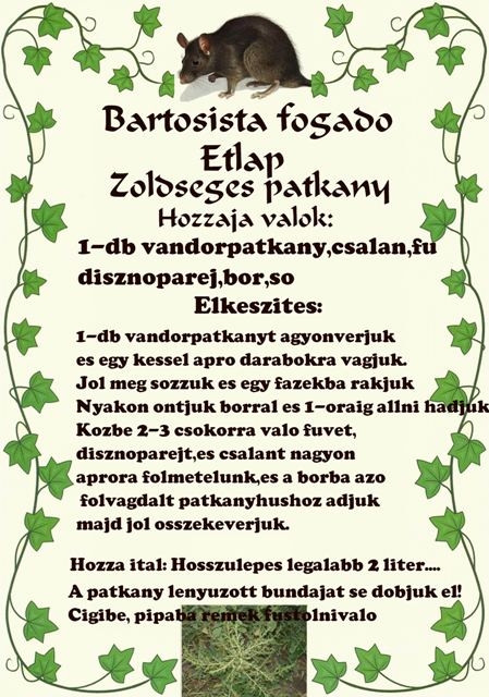 A mai menü - Zöldséges patkány