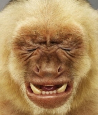 Már megint hétfő 🙁