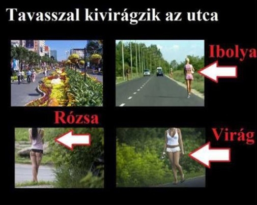 A tavasz első jelei . . .