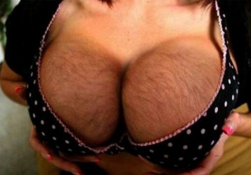 Napi csöcsök - fogdosnád ? :P