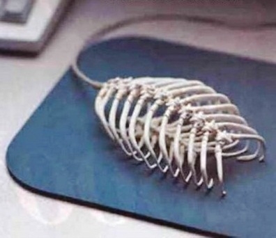 Agyonhasznált egér