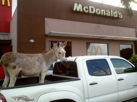 Eközben az autós Mekinél