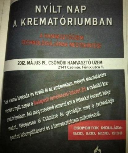 Bizarr programajánló