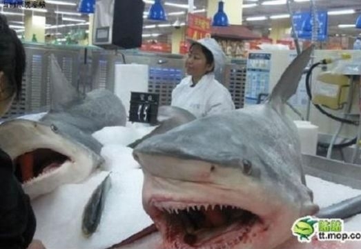 Eközben a kínai Tacskóban