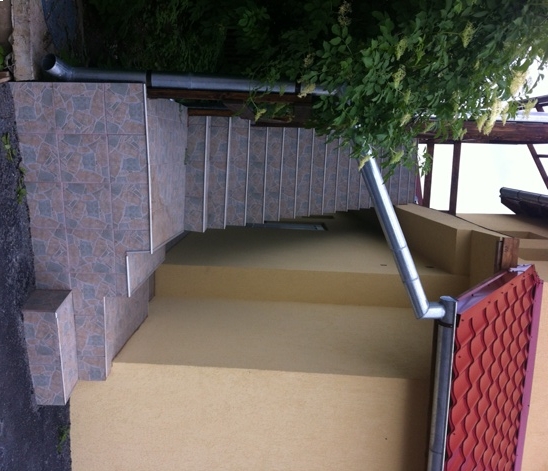 Román erdészeti hivatal