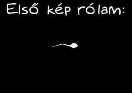 Ezt tedd ki profilképnek FB-re :P