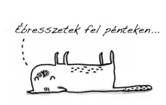 Hétfő reggeli kívánság 🙂