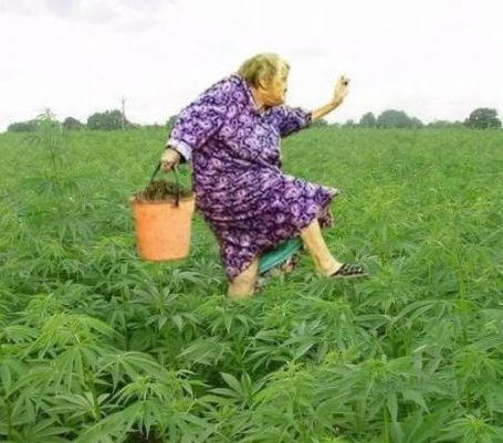 Nem csak a húszéveseké a világ . . . 