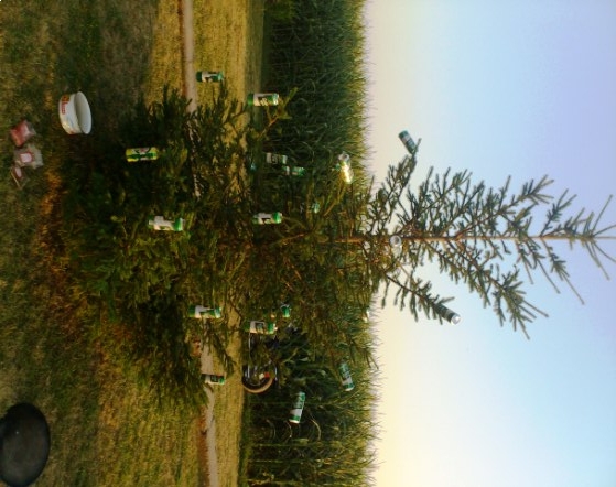 Karácsonyfa . . . .