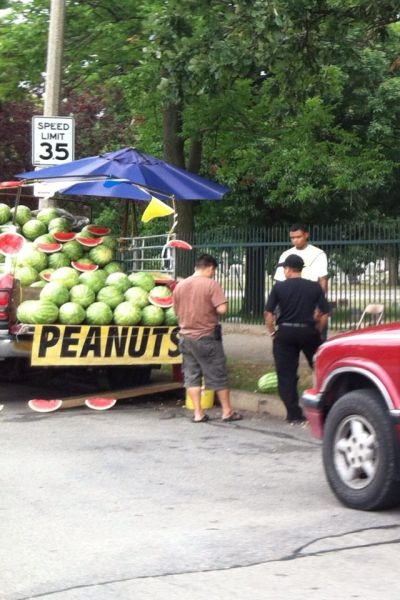 Útmenti mogyoró árus