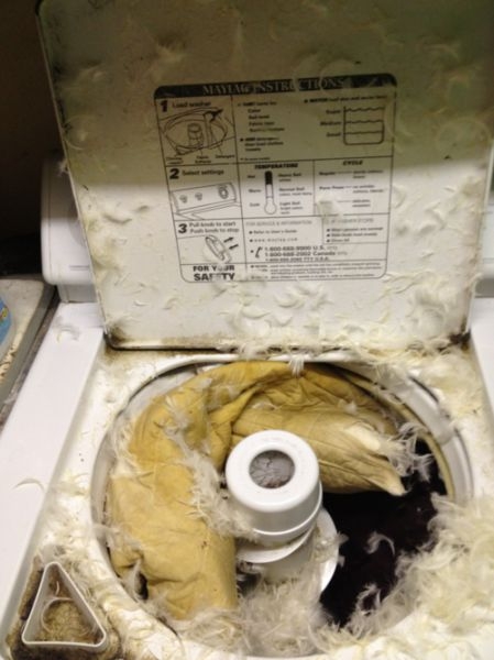 Tényleg jobb lett volna a patyolatba vinni...