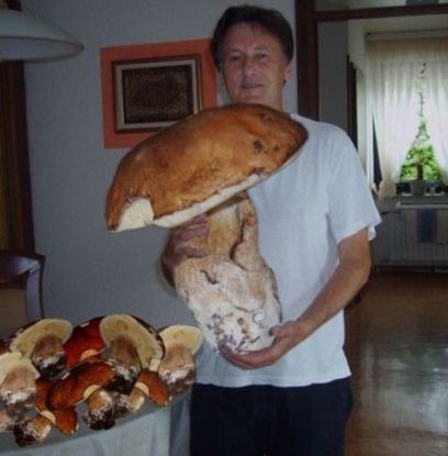 Ma gombapöri lesz ebédre . . . 