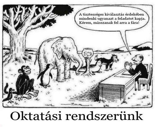 Oktatási rendszerünk . . . 