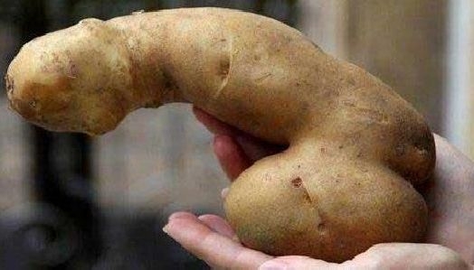 Vicces kedvű természet