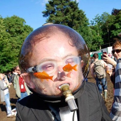 Fesztivál hangulat - Búvárkodj szárazon