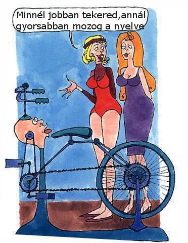 Bringa hölgyeknek :P