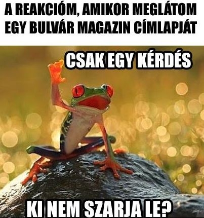 Vélemény a celeb hírekről . . . 