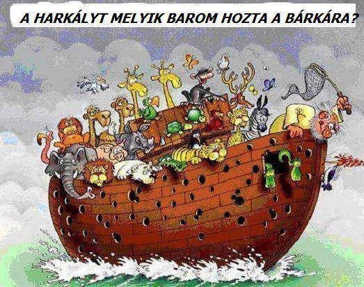 Egy rossz ötlet eredménye . . .