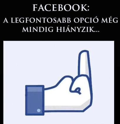 Nincs, pedig igény lenne rá . . .