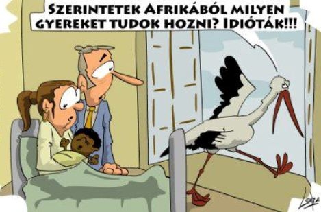 Ez van, ezt kell szeretni . . .