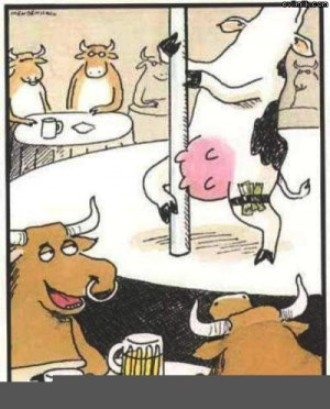 Azt mondják a haverok, marha jó buli volt tegnap este