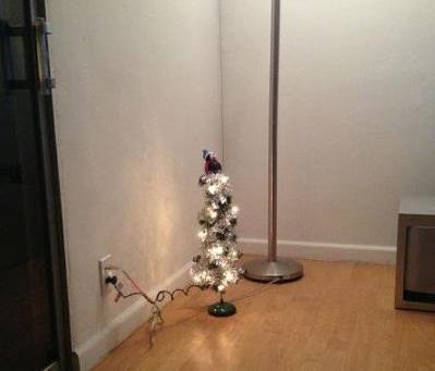 Idén erre futja 🙁