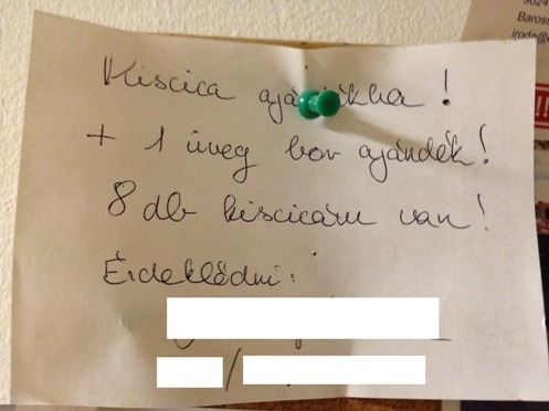 Eközben az állatorvosi rendelőben