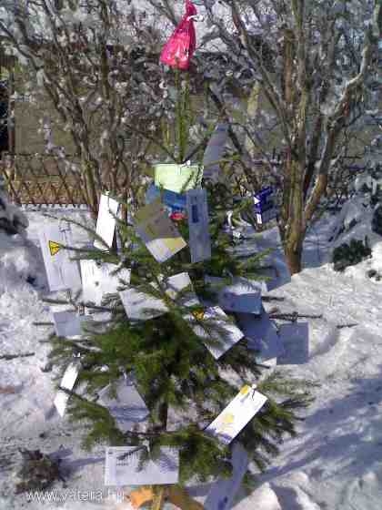 Karácsonyi meglepetés - magyar módra 