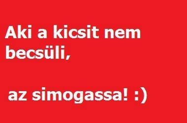 Hátha nagy lesz belőle . . .