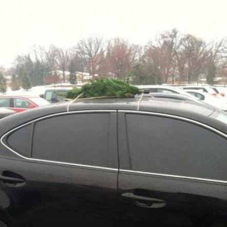 Nem lesz túl nagy ?