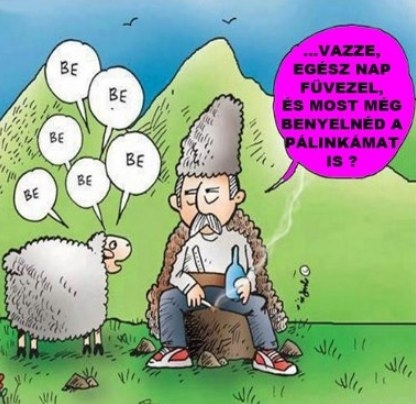 A kis telhetetlen 🙂