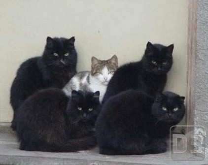 Borsod megye  - 30 év múlva