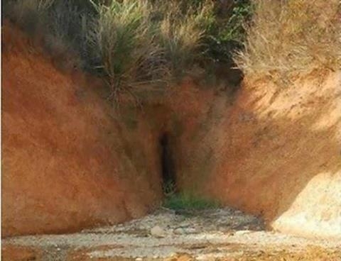 Kirándulás tipp délutánra...