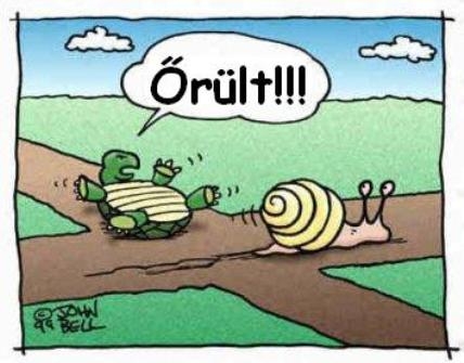 Lassabban te őrült !