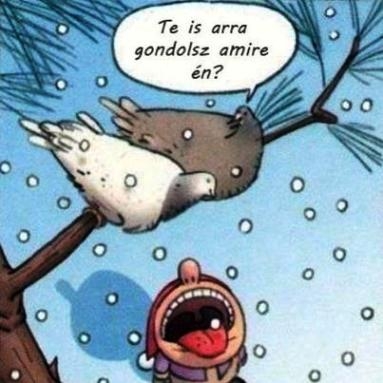 A havazás veszélyei