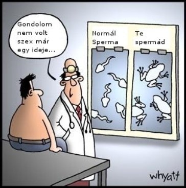 Eközben az orvosnál