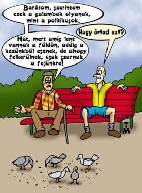 Tényfeltáró beszélgetés