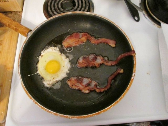 Evolúció - reggeli változat