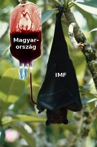 A gyengébbek kedvéért...