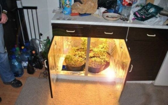 Ez az igazi - konyhakert :D