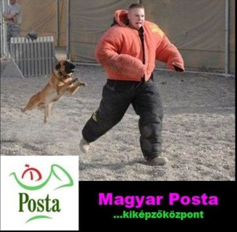 Tuti meló - Bevállalnád ?