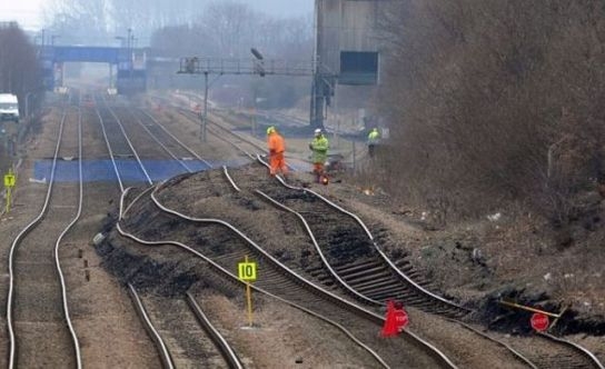 Mutáns vakondra leltek a pályaudvar közelében