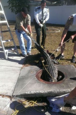 Csatorna tisztítás 2.0