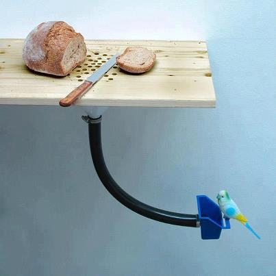 Kreatív reggeliző asztal