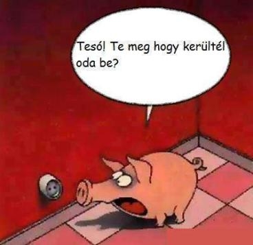 Röfit befalazták?!