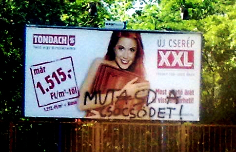 Őt nem érdeklik a cserepek :P