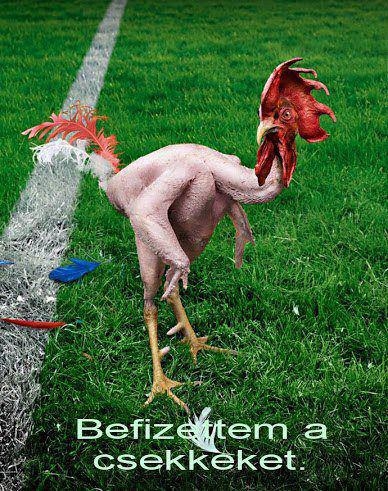 10.-e környékén...